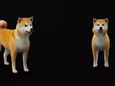 Japanese Shiba Inu Dog Free 3D model