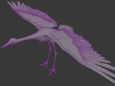 Red-crowned crane Low-poly 3D model