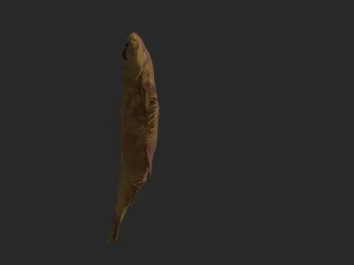 Scanned photorealistic dried fish Low-poly 3D model