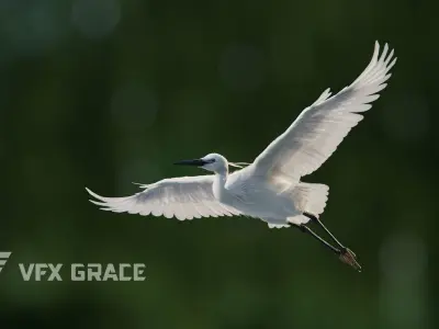 Egret Animated VFX Grace 3D model