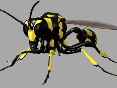 Potter or Mason Wasp 3D model