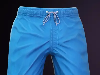 Beach Shorts 3D model