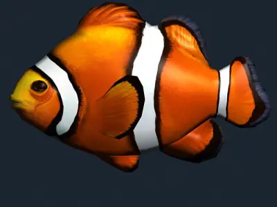 3DRT - Sealife - Clownfish Low-poly 3D model