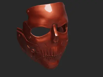 Skull DS Mask 3D print model