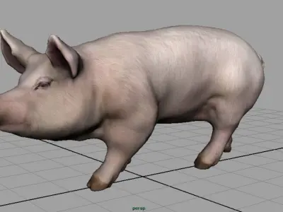 Realistic Pig Low-poly 3D model