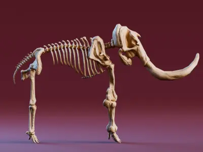 Realistic Mammals Fossil - Mammoth Low-poly 3D model