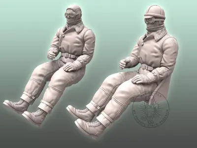 WW I Pilot 3D print model