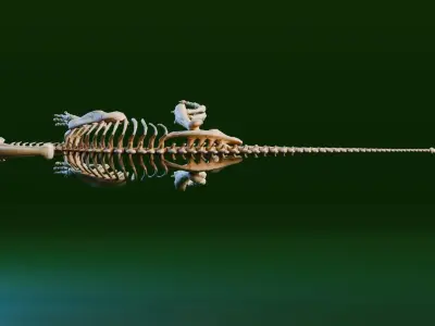 Realistic Ancient Reptilians Fossil - Parasaurus Low-poly 3D model