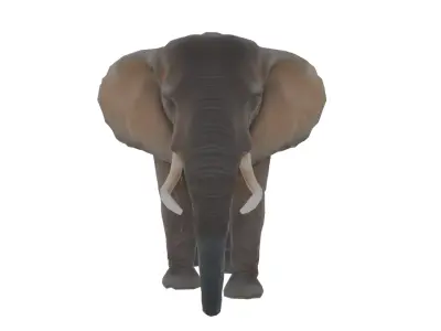 Elephant Low-poly 3D model