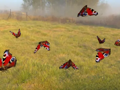 butterfly animation Low-poly 3D model