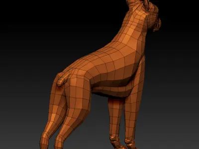 3D BOXER DOG Low-poly 3D model