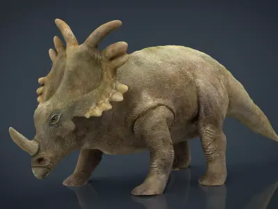 Triceratops dinosaur 3D model