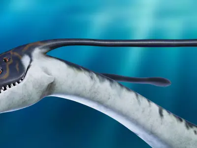 Ilu creature from Avatar The Way Of Water Low-poly 3D model