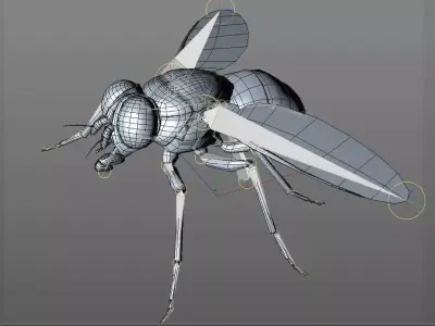 Housefly insect Low-poly 3D model