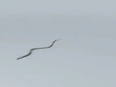 Paseo del Malecón (Part 2) Free 3D model