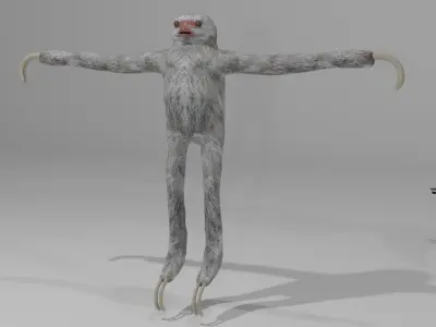 Rainforest Animals 3D model