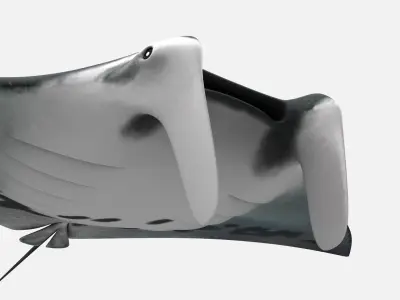 Giant oceanic manta ray Low-poly 3D model