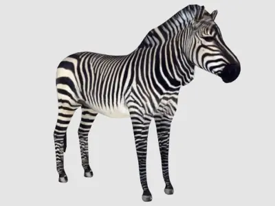 animals Low-poly 3D model