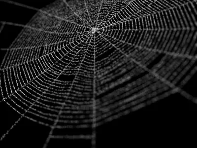 Spiderweb 1 3D model