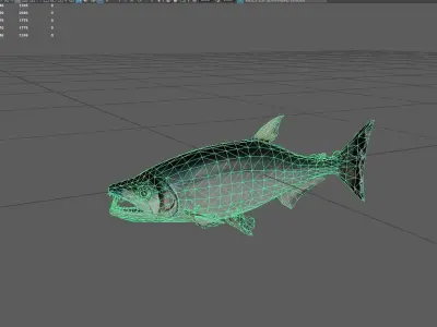 Payara Low-poly 3D model