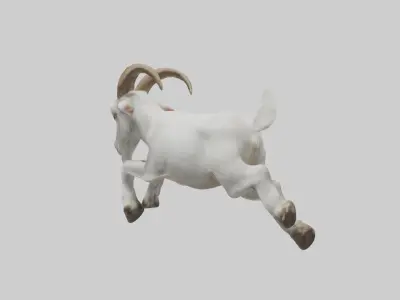Goat Hopping Model Low-poly 3D model