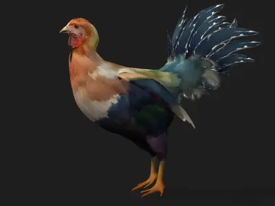 Chicken A3 3D model