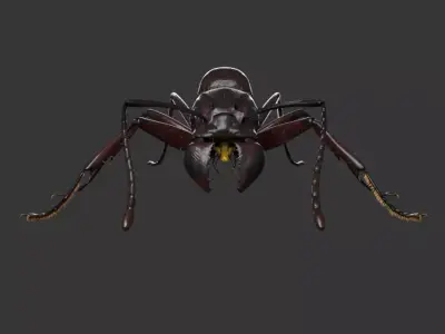 Ant Rig 3D model