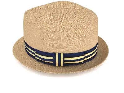 Women Fedora Hat 3D model