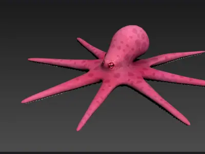 Octopus Cartoon fish underwater water nature sea ocean 3D model