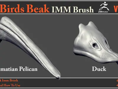 40 Birds Beak IMM Brush - Video How To Use 3D model