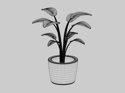 Potted Plant 3D model order