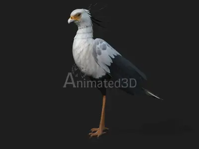 SecretaryBird A1 3D model