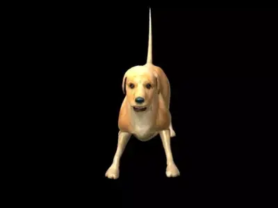 Textured dog Free 3D model