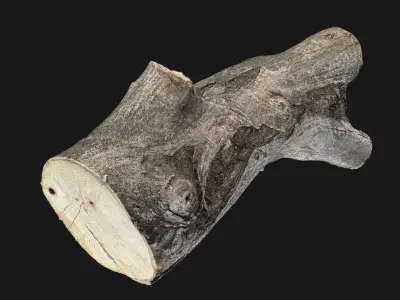 A piece of sawn wood 3d scan in highpoly 3D model