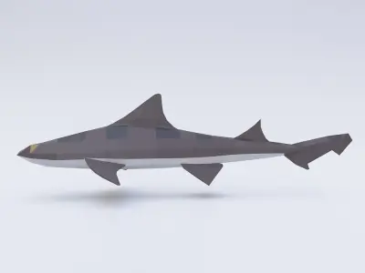 Leopard shark fish low poly 3d model  Low-poly 3D model