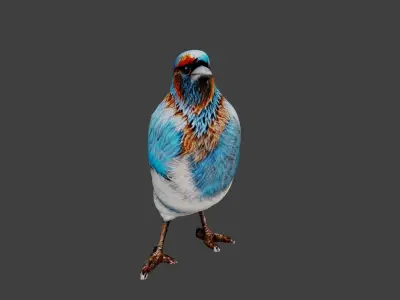 Bird Animal Low-poly 3D model