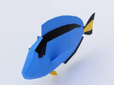Blue tang fish low poly 3d model  Low-poly 3D model