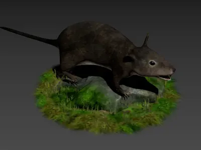 rats rat roddents mammals animal mouse cute pet fur lab 3D model