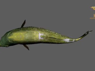 Animated Piranha Fish - Loop Animation with 1160 Frames Low-poly 3D model