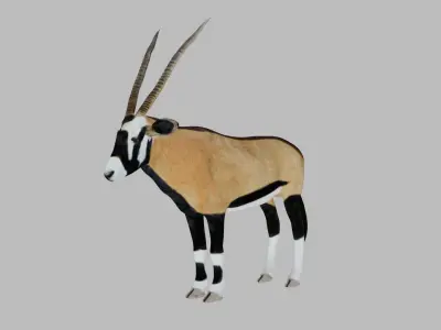 Oryx Antelope Low-poly 3D model