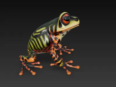 Frog Poisonous Realistic 3D Model Basic - Low Poly Realistic Low-poly 3D model