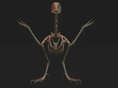 Archaeopteryx Skeleton 3D Low-poly 3D model