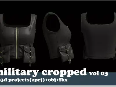 military cropped 3D model