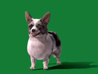 Cardigan Welsh Corgi Dog Free low-poly 3D model