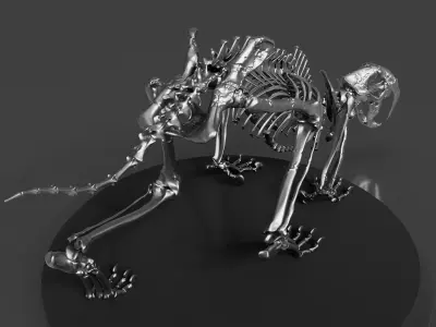Silver Sabretooth Skeleton 3D model