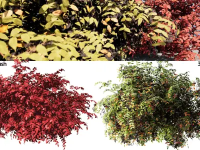 Summer and Burning Shrubbery Bush 3D Model 3D model