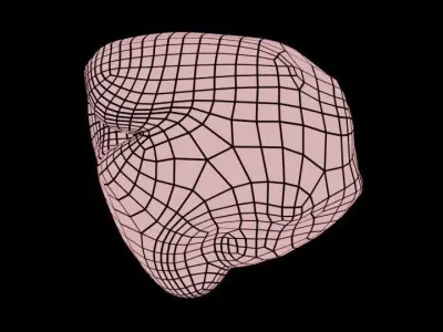 Dog Nose Free 3D model