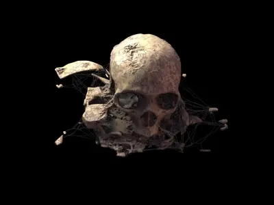 Broken Skull with Spider webs 8 3D model