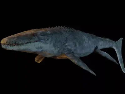 Mosasaurus Movie accurate 3D Model Low-poly 3D model