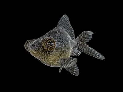 FISH-005 Goldfish 3D model